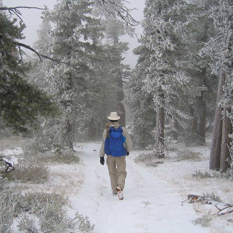Tahoe Rim Trail